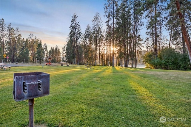 view of community with a lawn