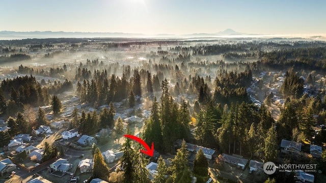 bird's eye view with a mountain view