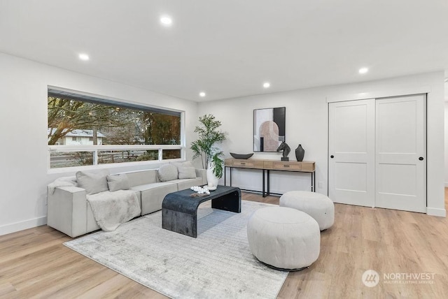 living room with light wood-type flooring