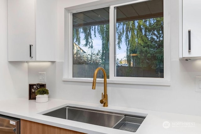 interior details featuring sink, white cabinets, and stainless steel dishwasher