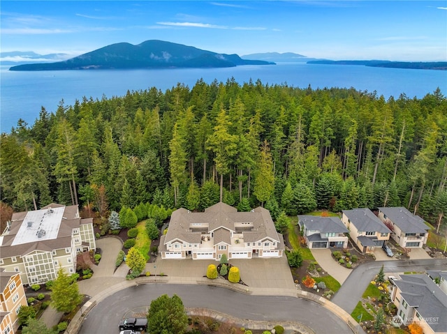 aerial view featuring a water and mountain view and a view of trees