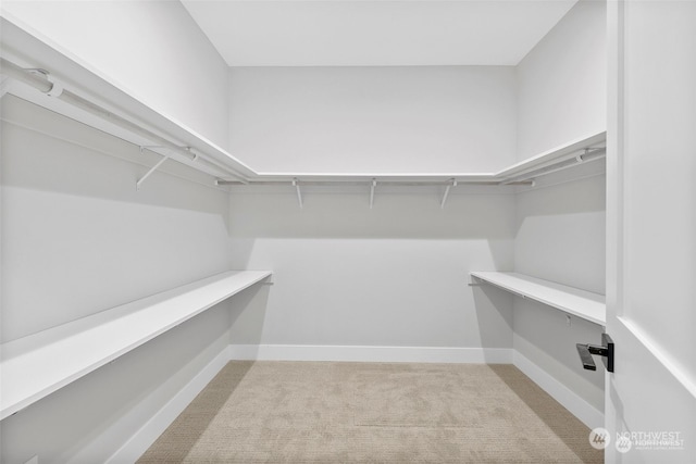 walk in closet featuring light carpet