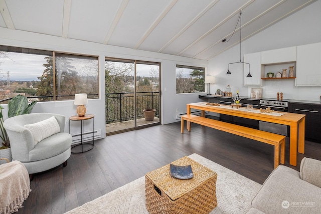 living room featuring high vaulted ceiling, beamed ceiling, dark wood-type flooring, and a baseboard heating unit