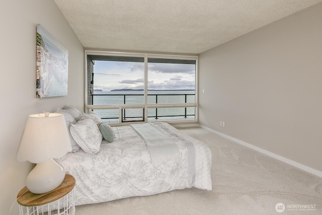 carpeted bedroom featuring expansive windows, baseboards, and a textured ceiling