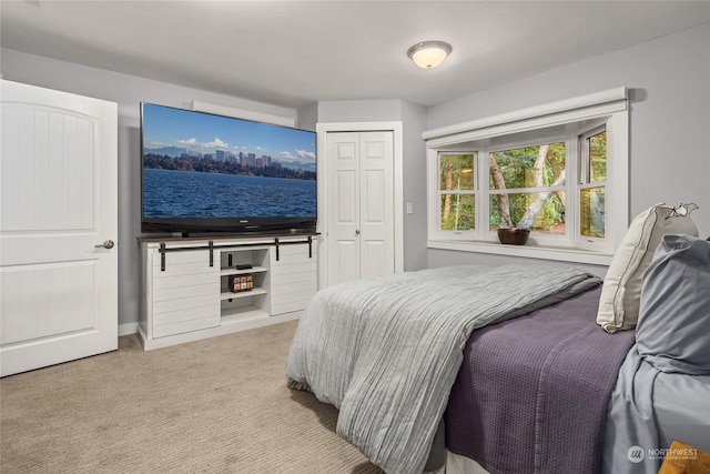 carpeted bedroom with a closet