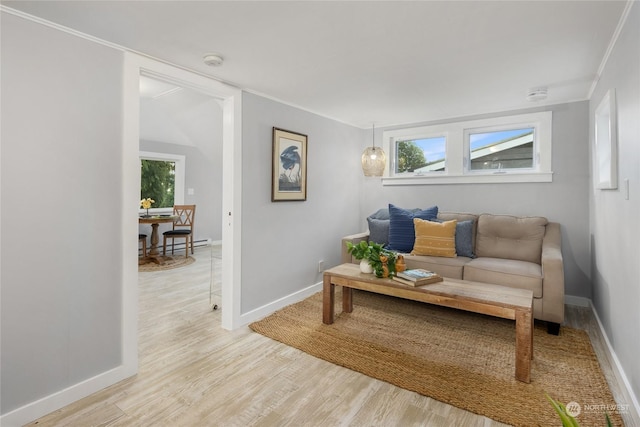 living room featuring light hardwood / wood-style floors