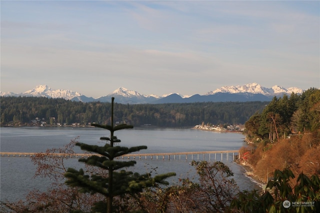 view of water feature featuring a mountain view