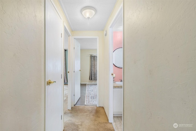 corridor with light colored carpet