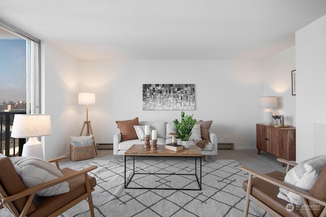 living room with light carpet and a baseboard heating unit