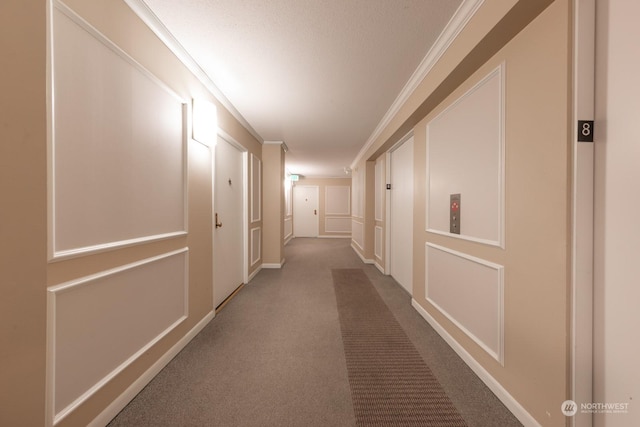 hallway with carpet, a textured ceiling, and ornamental molding