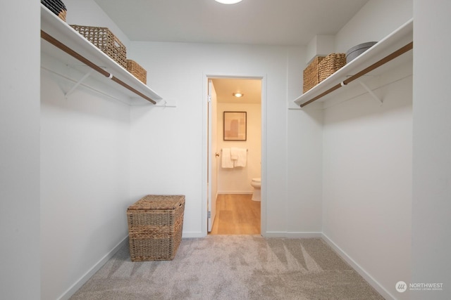 walk in closet with light colored carpet