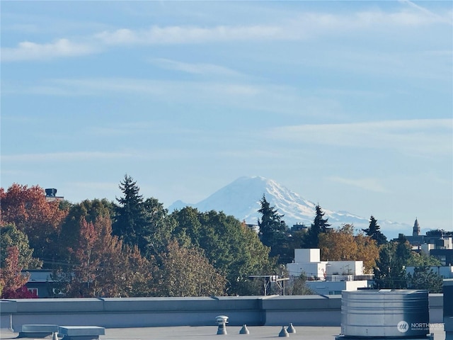 view of mountain feature