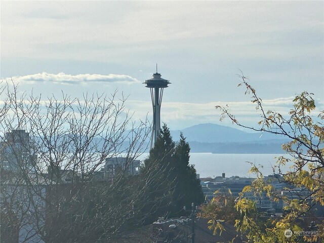 730C Broadway E, Seattle, WA 98102 - mountain view