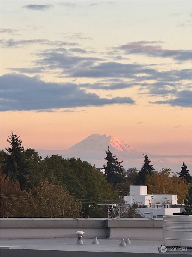 730C Broadway E, Seattle, WA 98102 - view of mountain backdrop