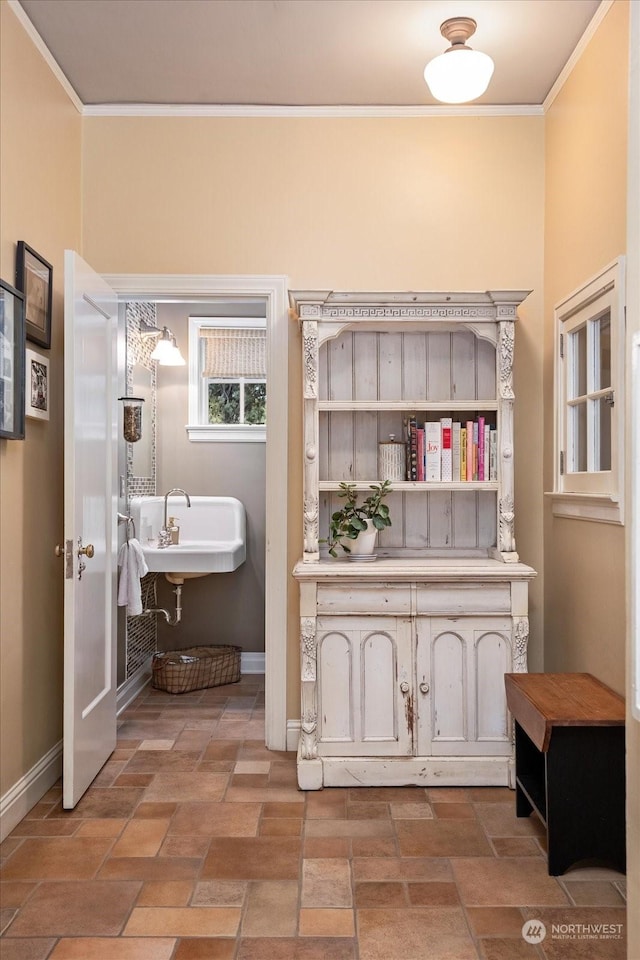 bathroom featuring ornamental molding and sink