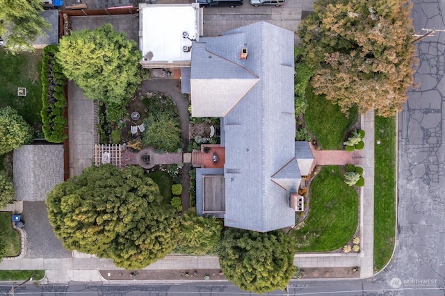 bird's eye view
