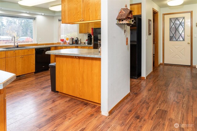 kitchen featuring dark hardwood / wood-style flooring, sink, and black appliances