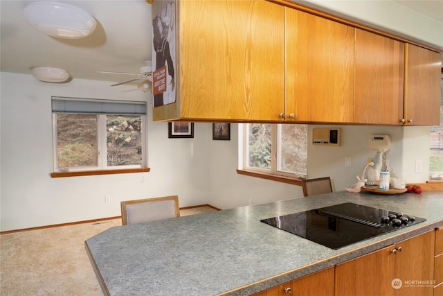 kitchen with ceiling fan, light colored carpet, black electric cooktop, and a wealth of natural light