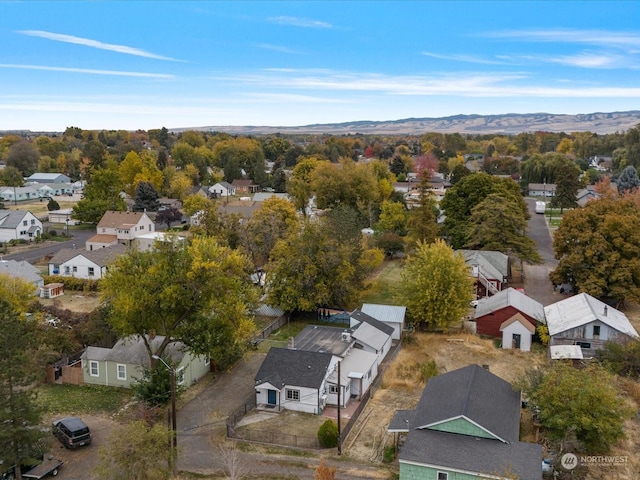 bird's eye view