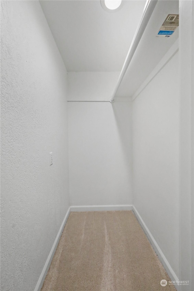 spacious closet with carpet flooring