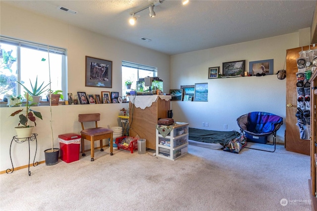 misc room featuring carpet, a textured ceiling, and rail lighting