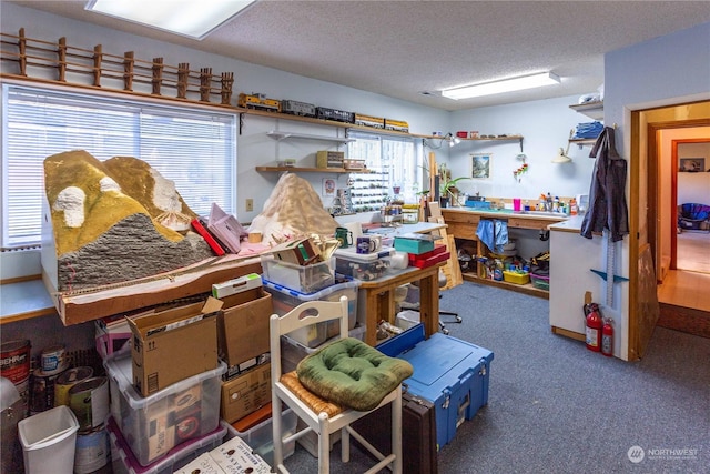 3945 Magrath Rd, Bellingham, WA 98226 - miscellaneous room with plenty of natural light, a textured ceiling, carpet floors, and a workshop area