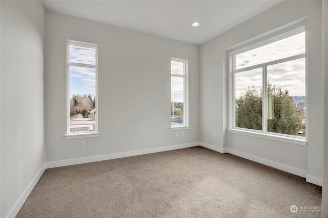 unfurnished room with carpet floors and a healthy amount of sunlight