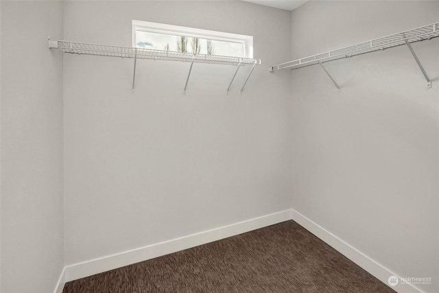 walk in closet featuring dark colored carpet