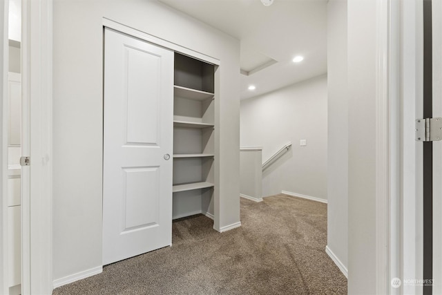 spacious closet featuring carpet flooring