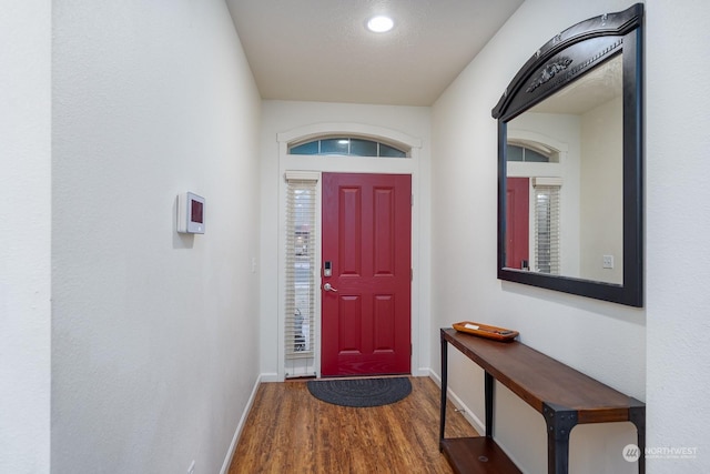 entrance foyer featuring wood-type flooring