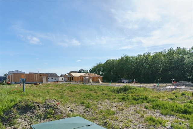 117 7th St SW, Long Beach, WA 98631 - view of yard