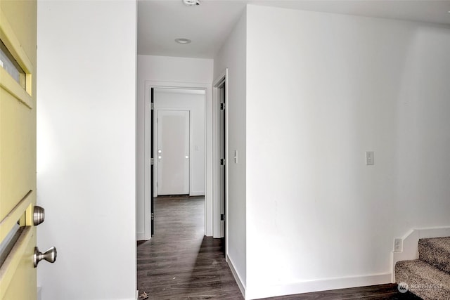 hallway featuring dark wood-type flooring