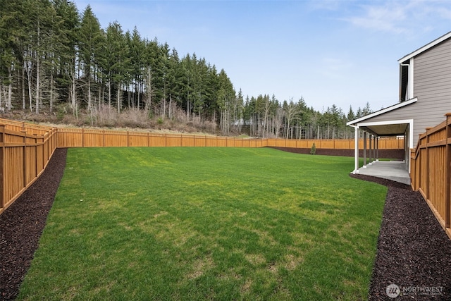 view of yard with a patio and a fenced backyard