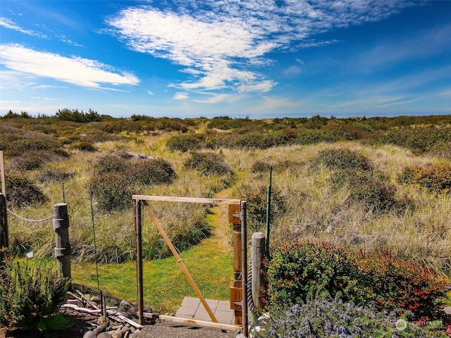 view of yard featuring a rural view