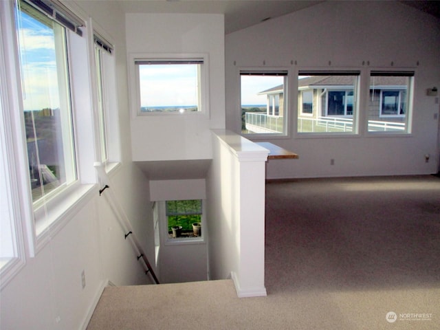 stairway featuring lofted ceiling, carpet floors, and a wealth of natural light