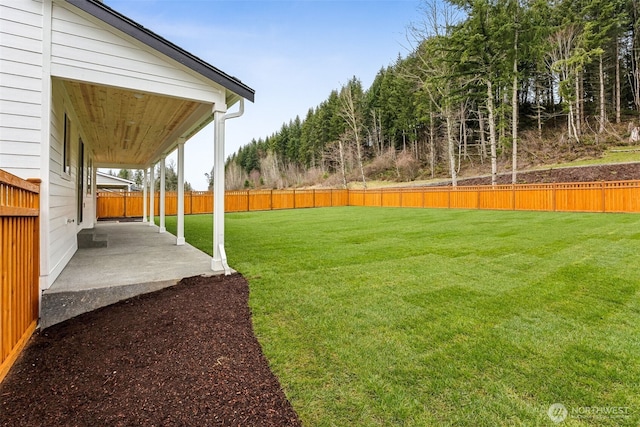 view of yard with a patio and fence