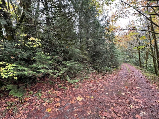 40XX Sand Dollar Rd W, Bremerton, WA 98312 - photo 8