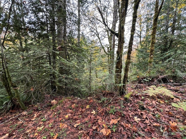 40XX Sand Dollar Rd W, Bremerton WA, 98312 land for sale