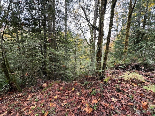 40XX Sand Dollar Rd W, Bremerton, WA 98312 - photo 1