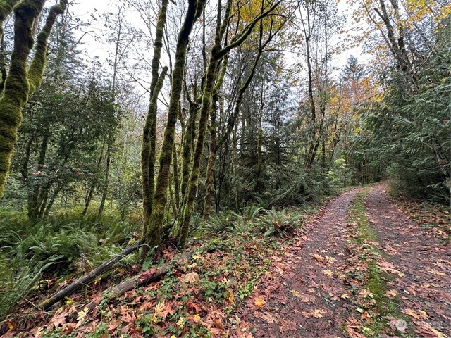 40XX Sand Dollar Rd W, Bremerton, WA 98312 - photo 10