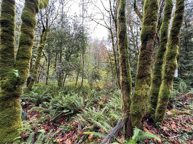 40XX Sand Dollar Rd W, Bremerton, WA 98312 - photo 2