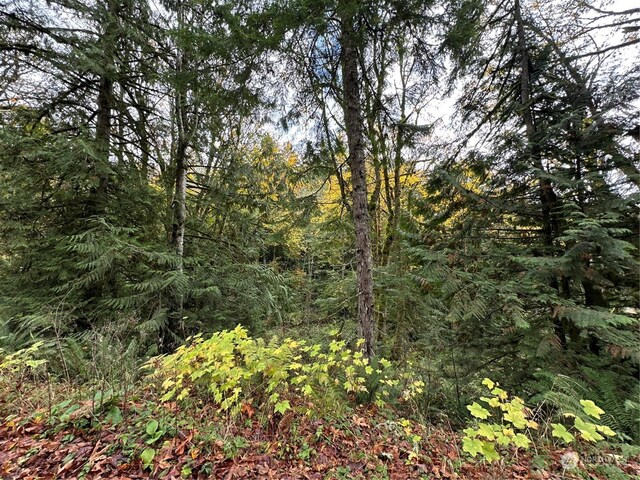 40XX Sand Dollar Rd W, Bremerton, WA 98312 - photo 3
