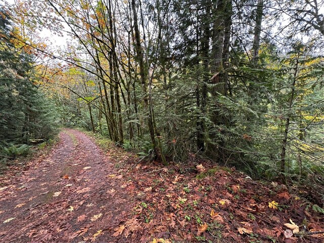 40XX Sand Dollar Rd W, Bremerton, WA 98312 - photo 9