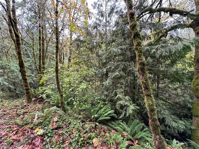 40XX Sand Dollar Rd W, Bremerton, WA 98312 - photo 4