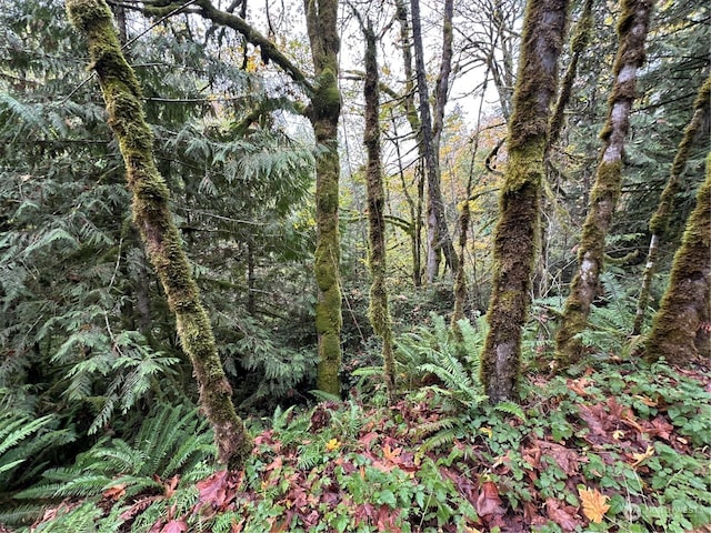 40XX Sand Dollar Rd W, Bremerton, WA 98312 - photo 5