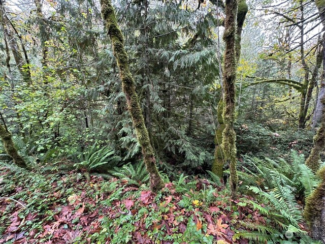 40XX Sand Dollar Rd W, Bremerton, WA 98312 - photo 6