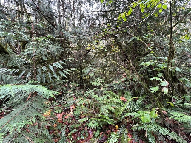 40XX Sand Dollar Rd W, Bremerton, WA 98312 - photo 7