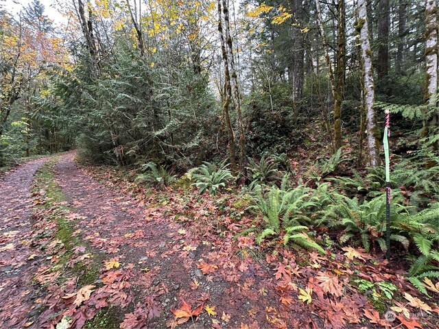 40XX Sand Dollar Rd W, Bremerton, WA 98312 - photo 11