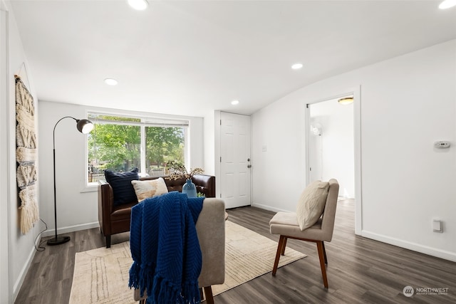 interior space featuring lofted ceiling and dark wood-type flooring