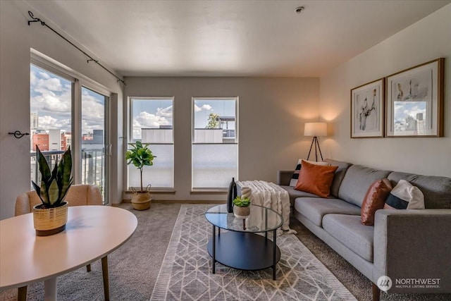 living room with carpet and a healthy amount of sunlight